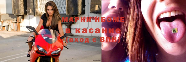 индика Михайловск