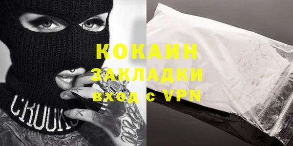 индика Михайловск