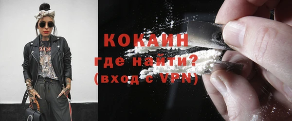 индика Михайловск