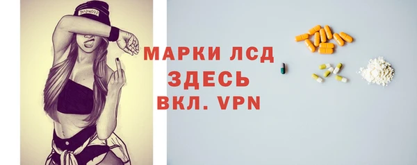 индика Михайловск
