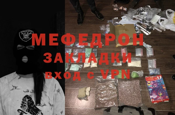 индика Михайловск