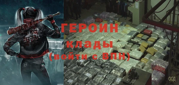 индика Михайловск