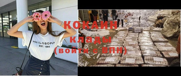 МДПВ Михайлов