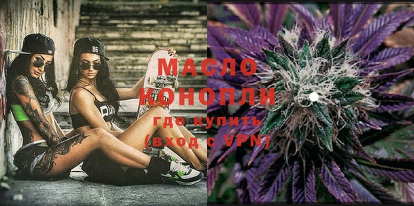 индика Михайловск