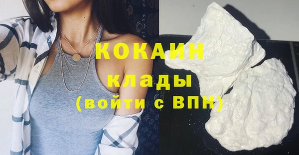 индика Михайловск
