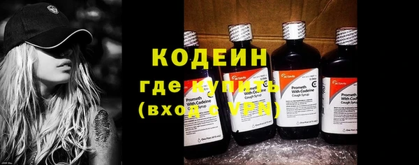 индика Михайловск