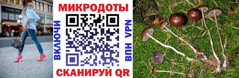 Псилоцибиновые грибы Psilocybine cubensis  mega зеркало  Поворино  закладка 
